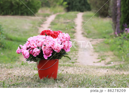 Beautiful red and pink peony flowers bouquet in the bucket on rural nature background 86278209