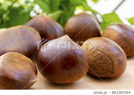くり クリ 栗 86280394