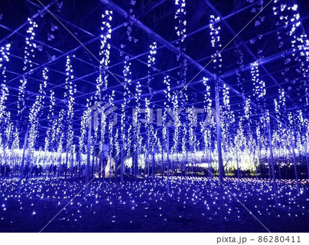 藤棚のようなイルミネーション 86280411