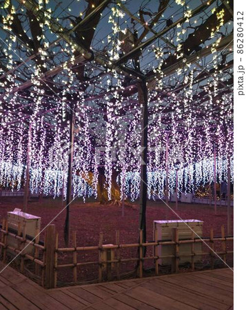 夕暮れ時のイルミネーション 86280412