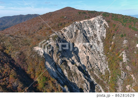 秋の冥王の禿 秋の冥王の禿 86281629