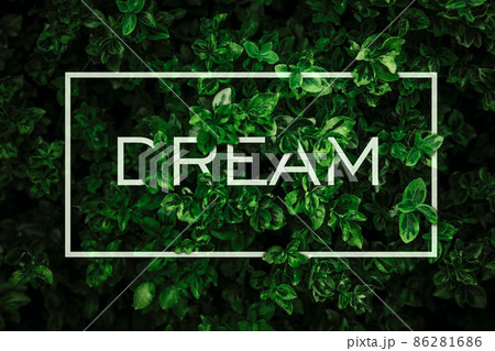 Creative composition of "dream" sign and forest leaves. Creative composition of "dream" sign and forest leaves. 86281686