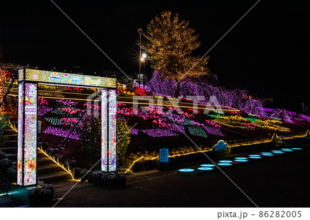 長島町（鹿児島県出水郡）初のイルミネーションイベント「フラワーズオブヒカリ」 86282005