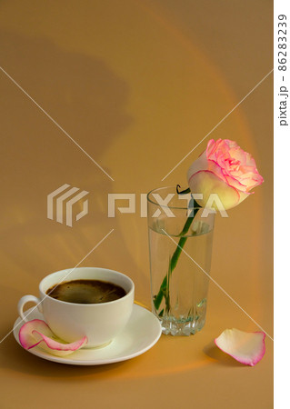 Tender pink rose on vase with white cup of coffee on beige background. Minimal composition. Romantic pastel pink rose flower. Modern aesthetic. Neutral earth tones. Holiday morning breakfast Hardlight 86283239