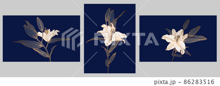 A set of frames with golden metallic lily flowers linear drawings with white flower heads on deep blue. Design for print, poster, invitation, postcard and packaging. 86283516
