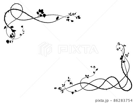 simple frame flowers and thorns plant on white new 86283754
