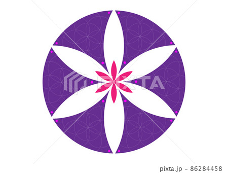 Seed Flower of life lotus icon, purple mandala sacred geometry, yantra symbol of harmony and balance. Mystical talisman, logo sign vector isolated on white background Seed Flower of life lotus icon, purple mandala sacred geometry, yantra symbol of harmony and balance. Mystical talisman, logo sign vector isolated on white background 86284458