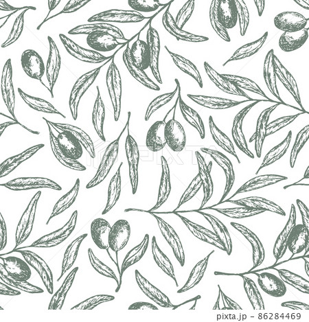 Tender pattern with hand drawn vector olive twigs 86284469