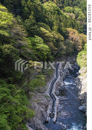 東京都/ 新緑の白丸魚道・白丸調整池(白丸ダム) 東京都/ 新緑の白丸魚道・白丸調整池(白丸ダム) 86285359