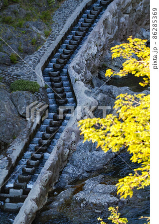 東京都/ 新緑の白丸魚道・白丸調整池（白丸ダム） 86285369