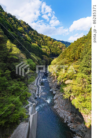 東京都/ 新緑の白丸魚道・白丸調整池(白丸ダム) 東京都/ 新緑の白丸魚道・白丸調整池(白丸ダム) 86285371