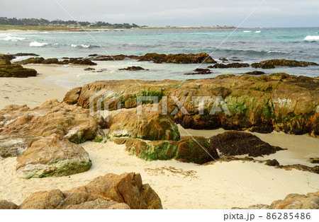 Asilomar State Marine Reserve 86285486