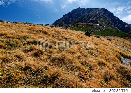 稜線の草紅葉と南アルプス・北岳山頂 86285536