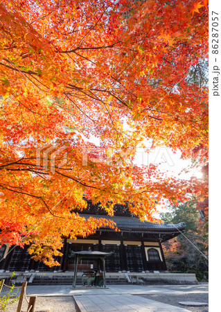 秋の南禅寺・法堂 86287057