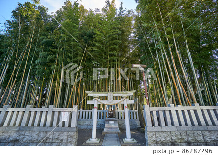 伝説の八幡の藪知らず（やぶしらず） 86287296