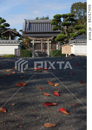 京都、山科の宮道神社の鳥居と紅葉の落ち葉 86287406