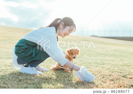 犬の散歩で排泄物を片つける女性 86288077