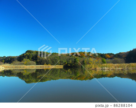 冬の朝の21世紀の森と広場の森林と千駄堀池風景 86288104