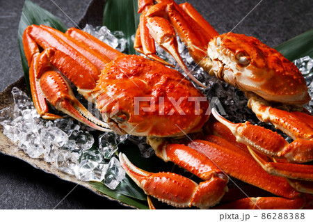 かに 食材 かに 食材 86288388
