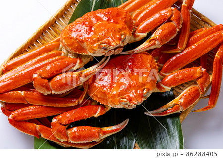 ズワイガニ ざる ズワイガニ ざる 86288405
