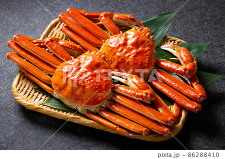 蟹 高級 蟹 高級 86288410