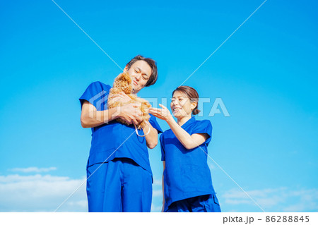 ペットに関わる仕事をする男女 86288845