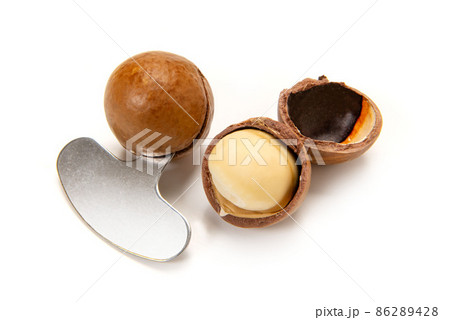 マカダミアナッツ 86289428