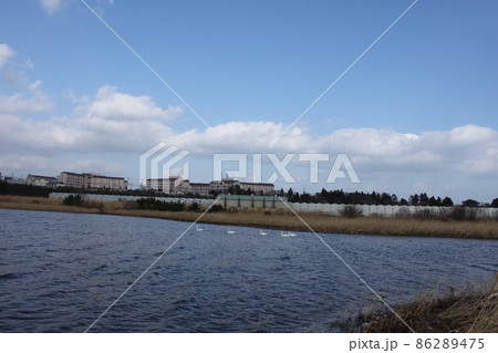 六ヶ所村の尾駮沼の風景 86289475