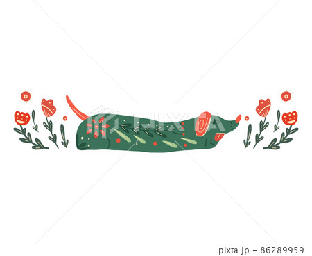 Vector postcard with a dog and a floral pattern. Stylized dachshund with folk art. Clipart with stylized purebred puppy and boho decoration. Vector postcard with a dog and a floral pattern. Stylized dachshund with folk art. Clipart with stylized purebred puppy and boho decoration. 86289959