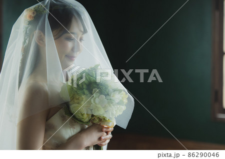 ブライダルイメージ ブライダルイメージ 86290046