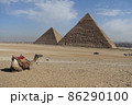 エジプト、ギザのピラミッドとらくだ 86290100