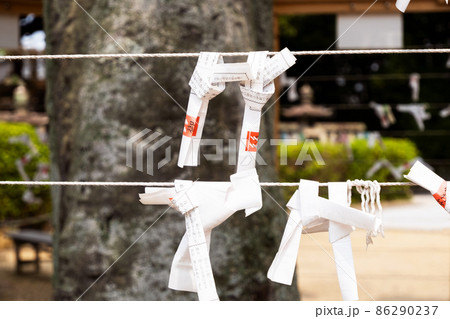おみくじと神社の境内、おみくじ掛け おみくじと神社の境内、おみくじ掛け 86290237