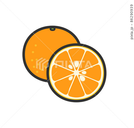 果物イラスト オレンジとその断面のイラスト素材