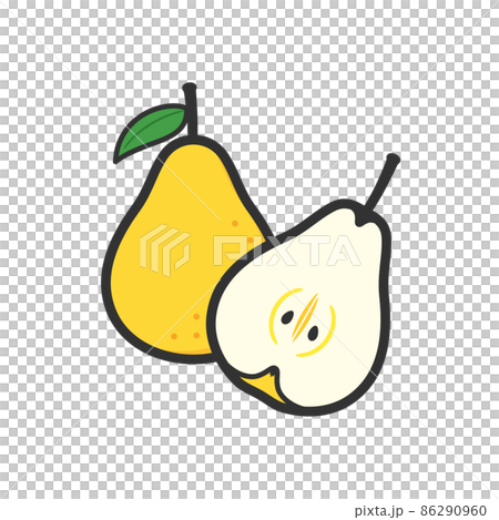 Fruit illustration pear and its cross section Fruit illustration pear and its cross section 86290960