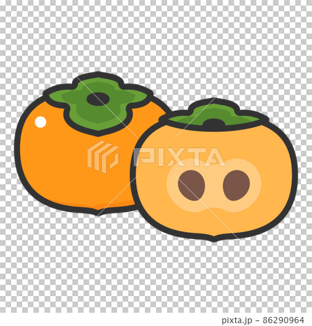 Fruit illustration persimmon and its cross section Fruit illustration persimmon and its cross section 86290964