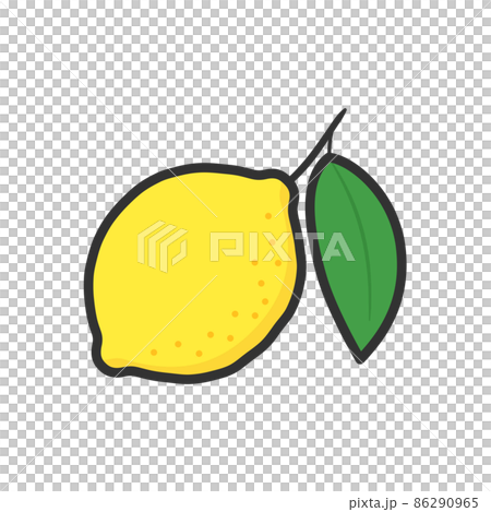 Fruit illustration Lemon with leaves Fruit illustration Lemon with leaves 86290965