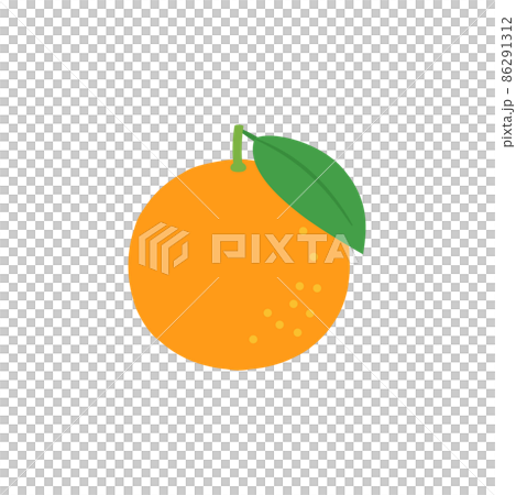 果物イラスト　葉っぱ付きのオレンジ 86291312