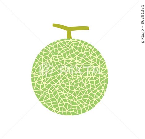果物イラスト　網模様のメロン 86291321