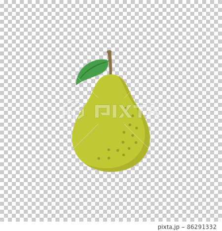 Fruit illustration pear with leaves 86291332