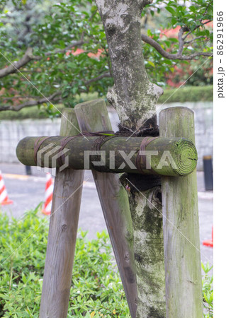 四脚鳥居支柱　植木支え棒 86291966