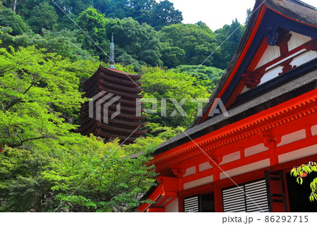 【奈良県】深緑の談山神社の十三重塔と権殿 86292715