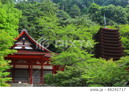 【奈良県】深緑の談山神社の十三重塔と権殿 【奈良県】深緑の談山神社の十三重塔と権殿 86292717
