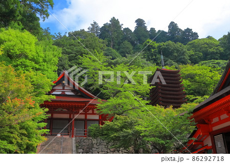 【奈良県】深緑の談山神社の十三重塔と権殿 86292718