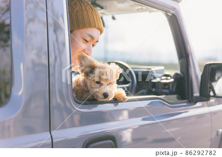 愛犬とドライブする男性 86292782