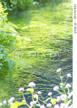水辺の新緑・清流・エコイメージ(大山 伯耆町) 水辺の新緑・清流・エコイメージ(大山 伯耆町) 86292881