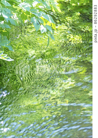 水辺の新緑・清流・エコイメージ(大山 伯耆町) 水辺の新緑・清流・エコイメージ(大山 伯耆町) 86292883