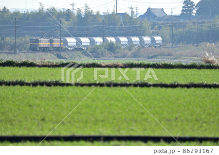 緑の畑の向こうをのんびり走る三岐鉄道の貨物列車 86293167