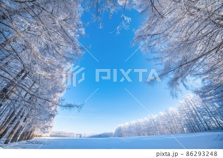 霧氷と青空 86293248
