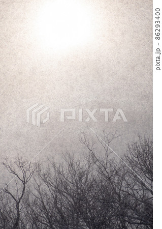 冬景色＿雪景色＿冬の木＿樹氷＿降雪 86293400