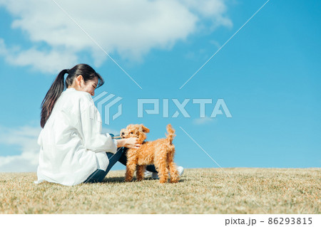 愛犬と遊ぶ女性（芝生・後ろ姿） 86293815